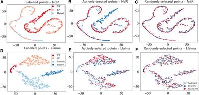 A Deep Active Learning Approach to the Automatic Classification of Volcano-Seismic Events